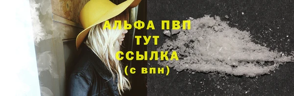 стафф Алексин
