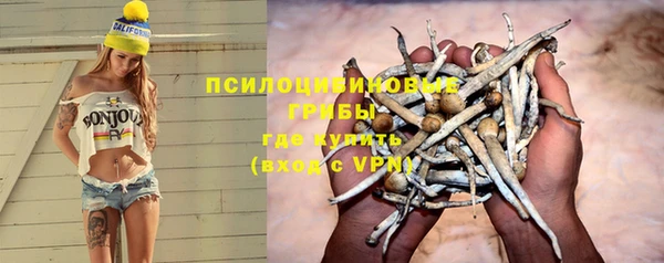 стафф Алексин