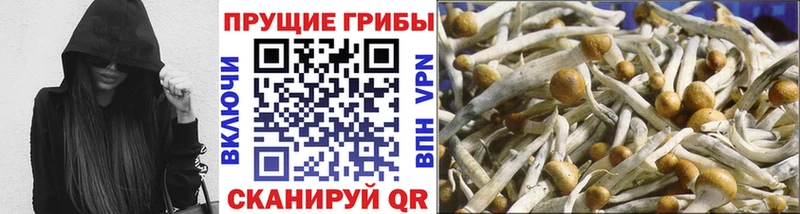 наркотики  kraken маркетплейс  Галлюциногенные грибы прущие грибы  Отрадная 