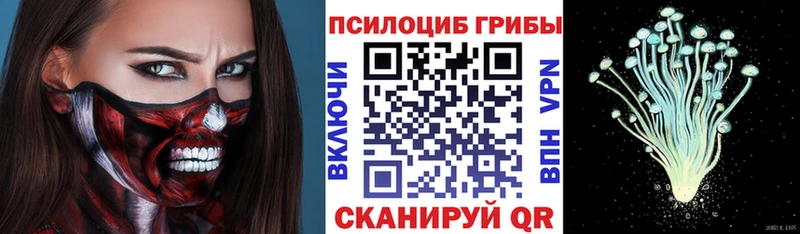 Псилоцибиновые грибы ЛСД Отрадная