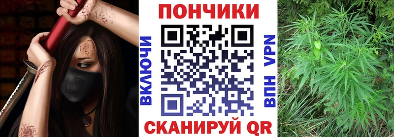 Конопля семена  Отрадная 